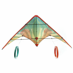 Papagaio Maxi Bird -Red dots