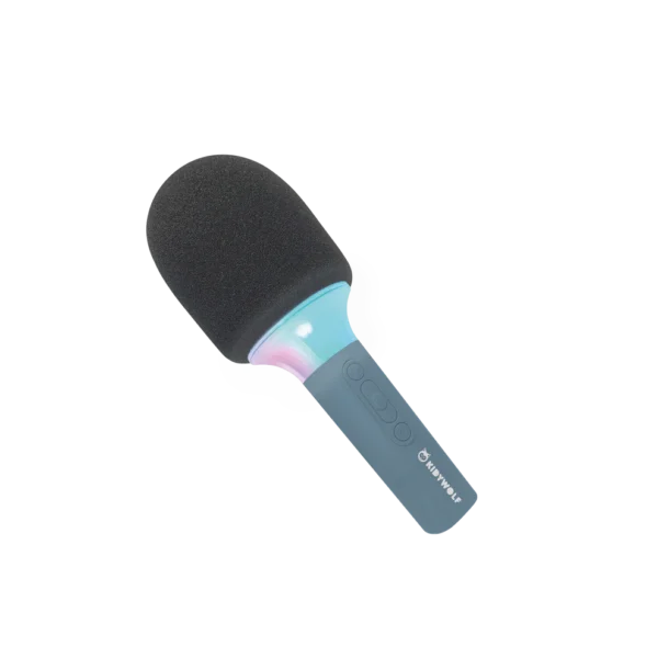 Karaoke -Kidymic